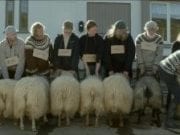 rams