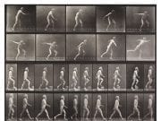04 Edweard Muybridge