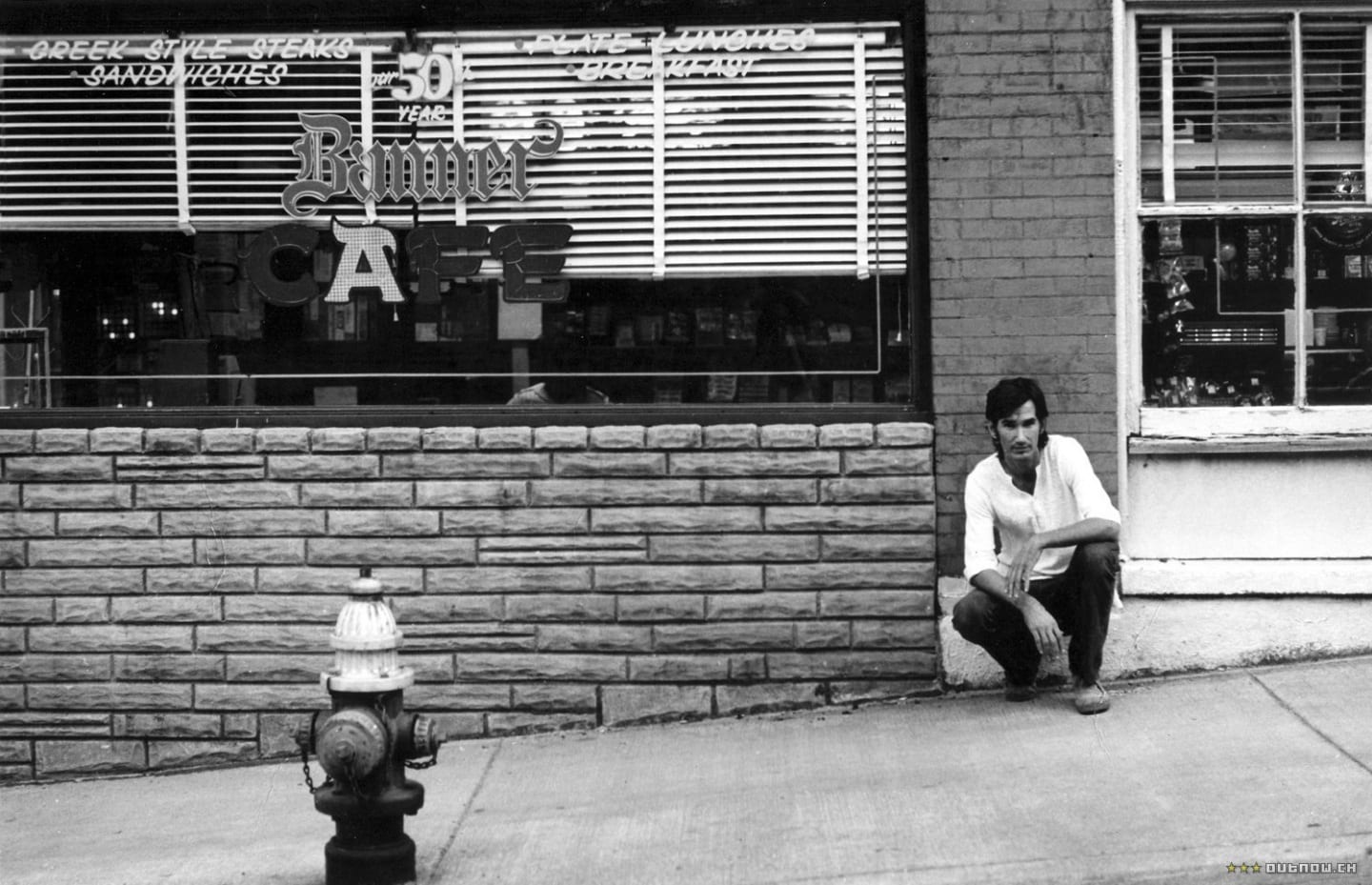 Townes Van Zandt? Un songwriter da (ri)scoprire