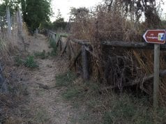 Il fiato per parlarci e la voglia di aiutarci
