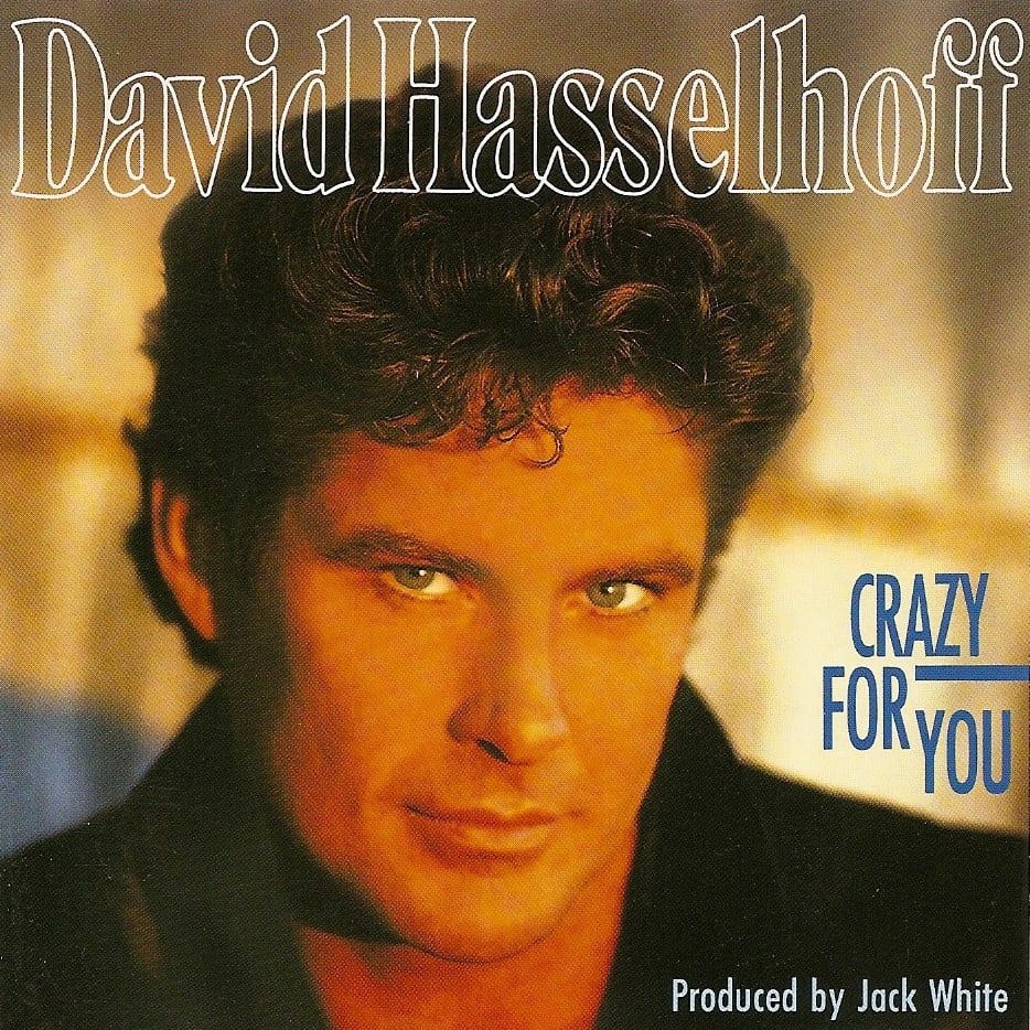 22-11-david-hasselhoff