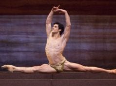 Roberto Bolle arriva al cinema
