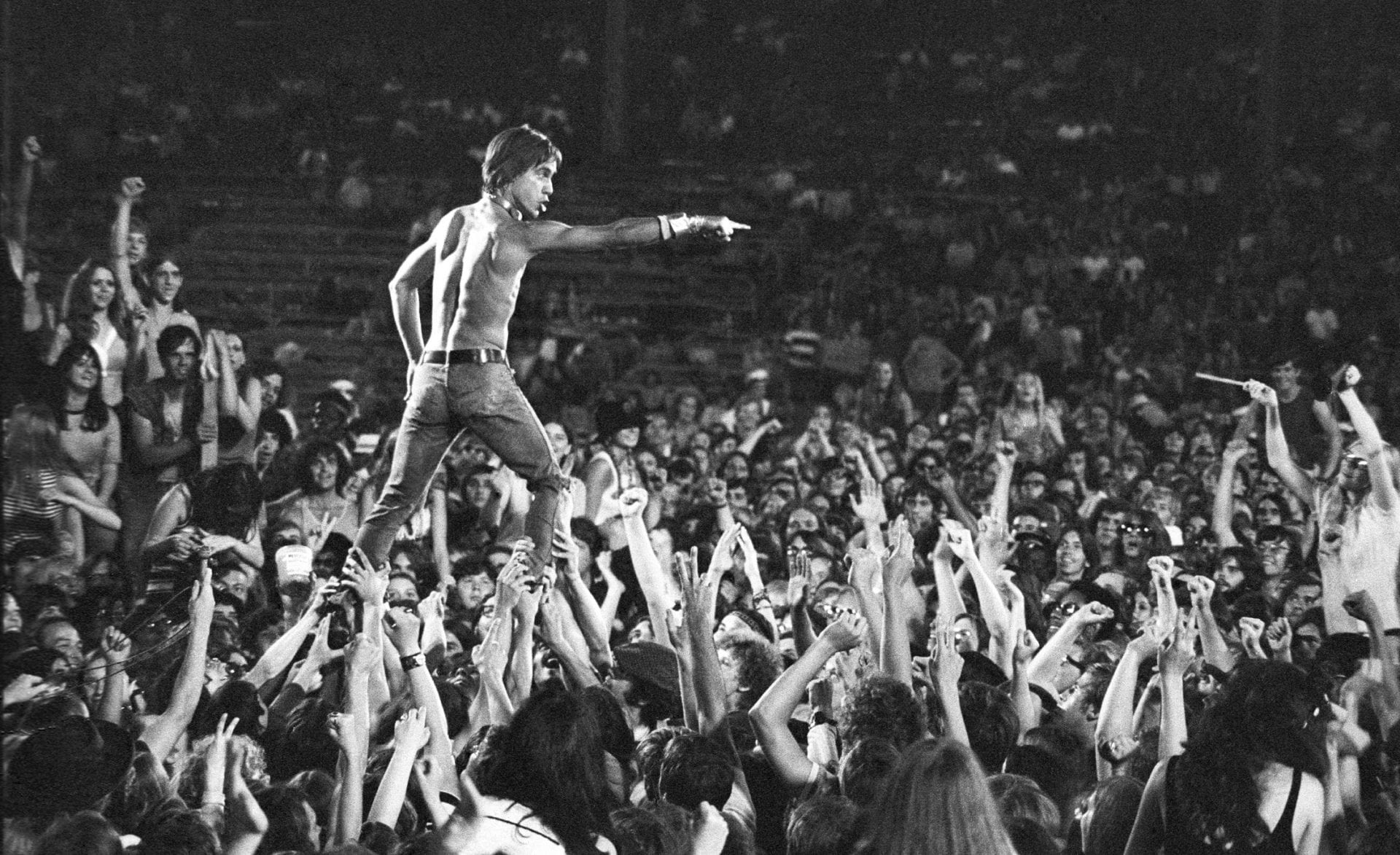 Iggy Pop Live