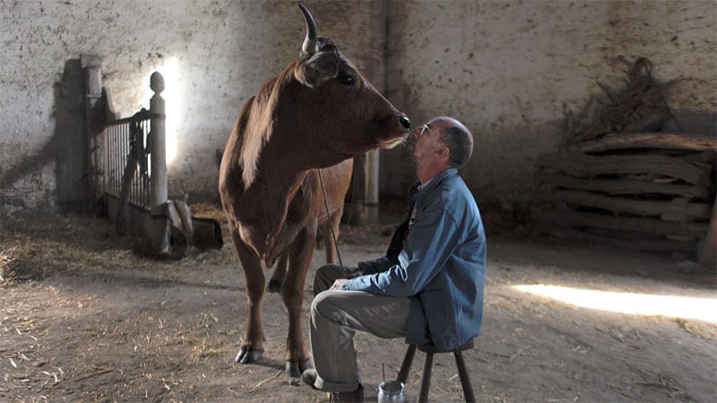 In viaggio con jacqueline