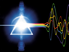 I magnifici “resti mortali” dei Pink Floyd