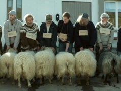 Dall’Islanda con furore – L’ irregolare cinema islandese