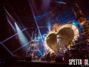 Zucchero-danilo-dauria-6