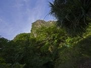 Phi Phi Islands