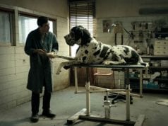 Matteo Garrone in corsa per l’Oscar con “Dogman” Dogman