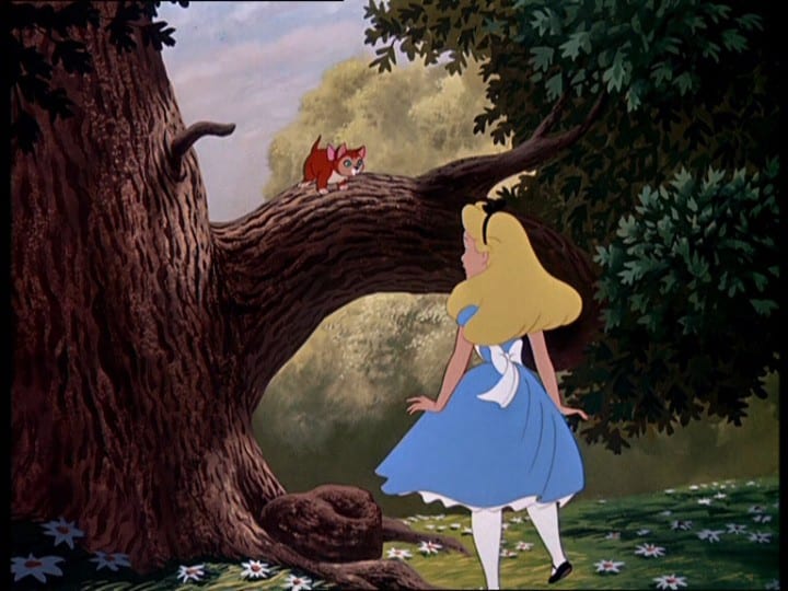 alice e il gatto