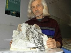 Dinosaurs, il film di Francesco Invernizzi, secondo appuntamento de l’ Arte al Cinema