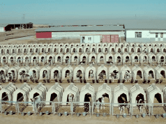 The Milk System, il documentario diretto da Andreas Pichler