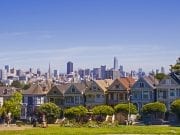 painted ladies