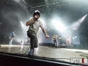pinguinitatticinucleari15042019 – RICCARDO MEDANA – 10
