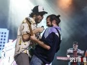 pinguinitatticinucleari15042019 – RICCARDO MEDANA – 16