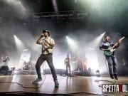 pinguinitatticinucleari15042019 – RICCARDO MEDANA – 8