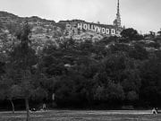 hollywood