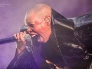 skunk anansie 7