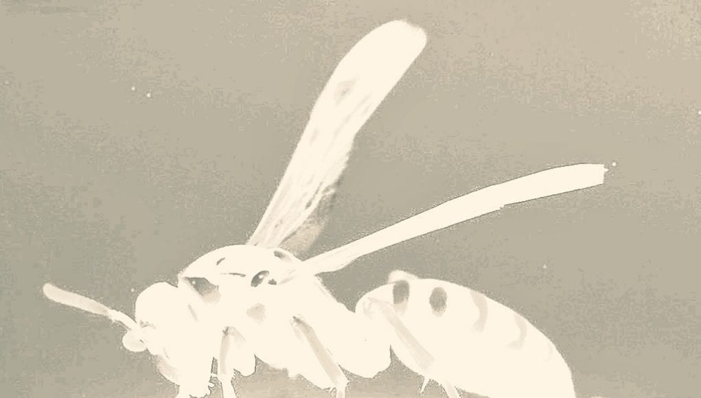 e1e758e2-6735-40f8-a8b6-9dfa1a93b4ac (1)