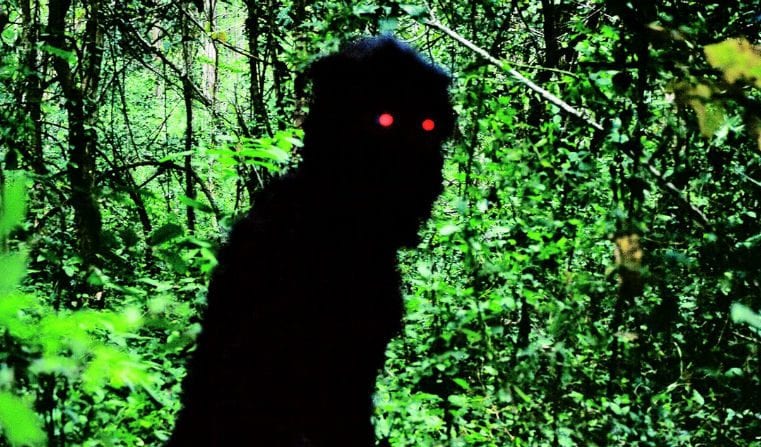 lo-zio-boonmee-che-si-ricorda-le-vite-precedenti-dvd-cov932
