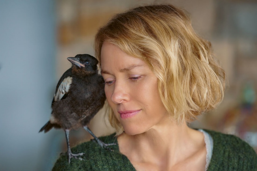Penguin Bloom Naomi Watts