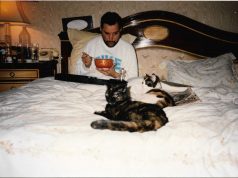 Freddie Mercury raccontato in “Dieci fotografie” su Sky Arte Freddie Mercury