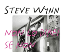 Non lo direi se non fosse vero. Memorie di musica, vita e Dream Syndicate