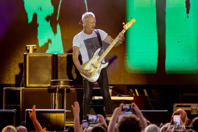 Sting Sting