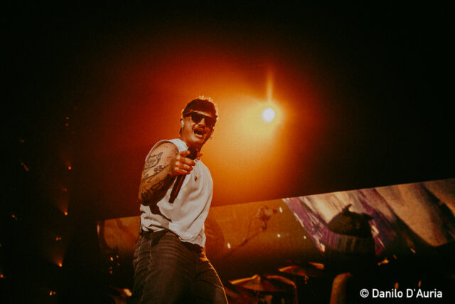 030-Olly-web