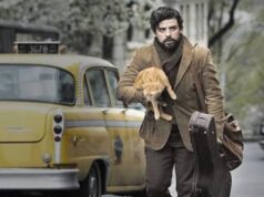 gatto