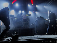 the cribs roma