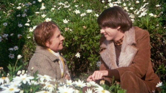 Harold e Maude